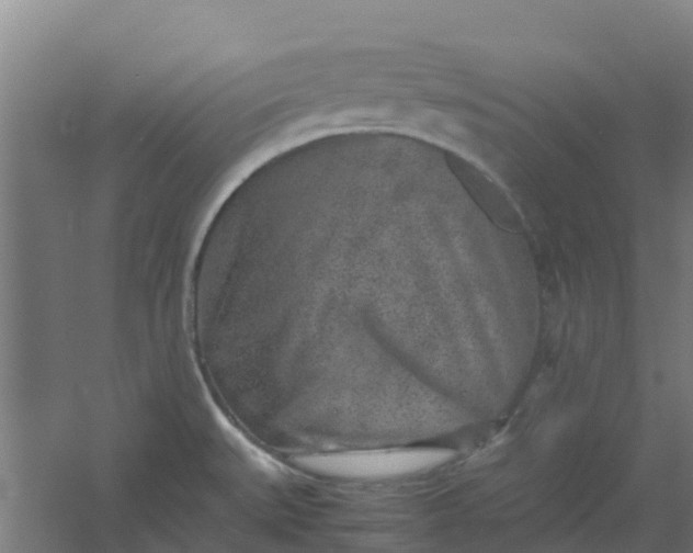 X0000054371527200508121527