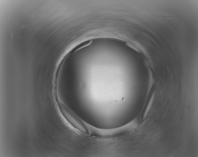 X0000054371528200508121527