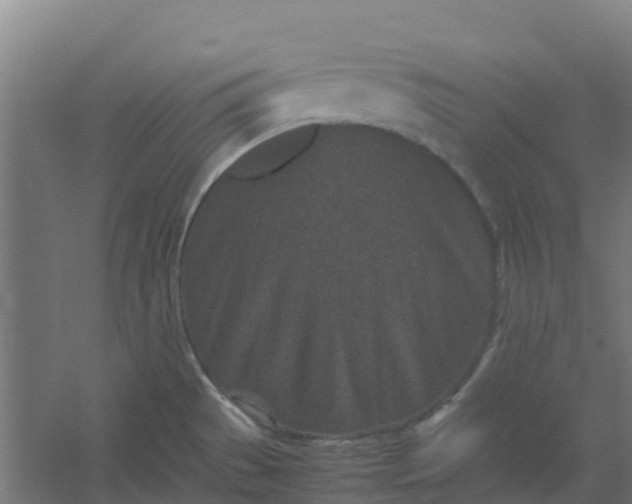 X0000054371529200508121527