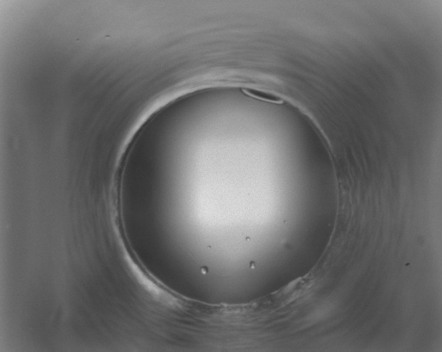 X0000054371531200508121527