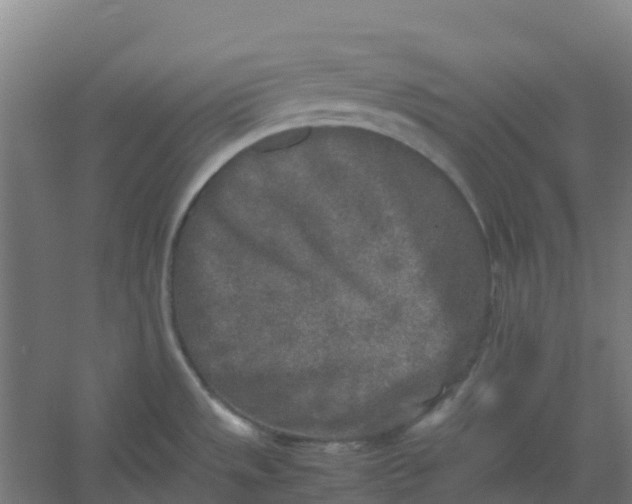 X0000054371533200508121527