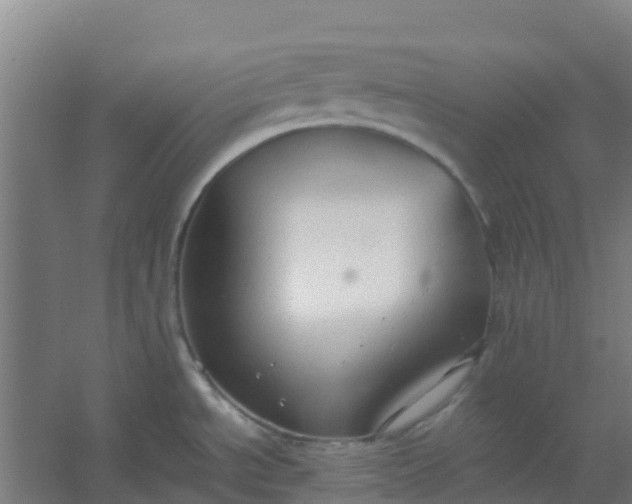 X0000054371534200508121527