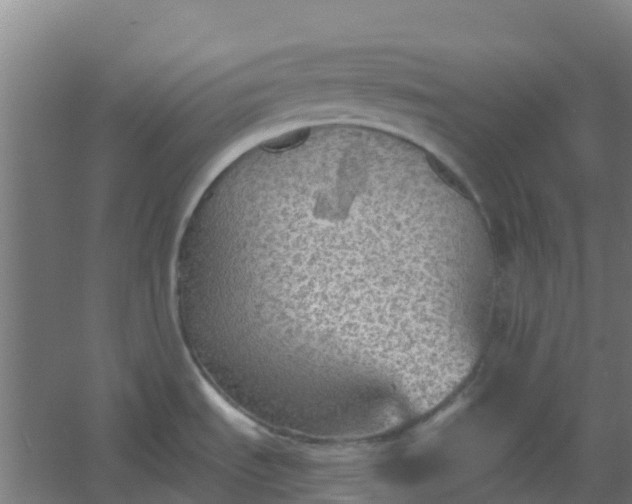 X0000054371535200508121527