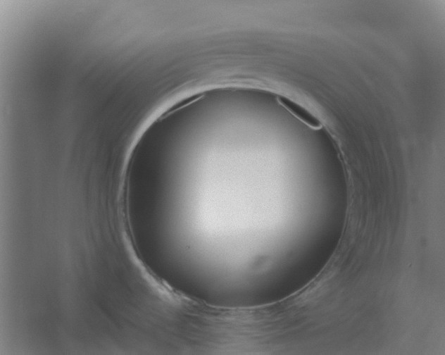 X0000054371536200508121527