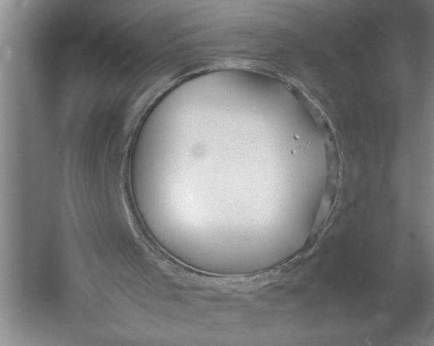 X0000054370001200508191858