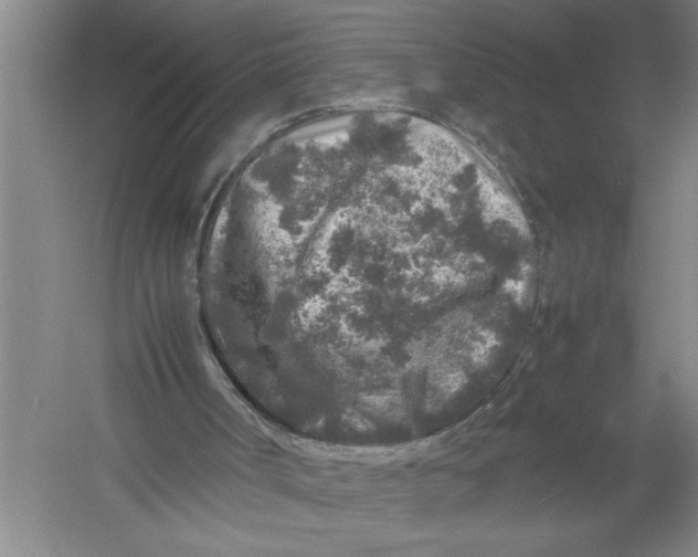 X0000054370002200508191858