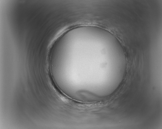 X0000054370005200508191858