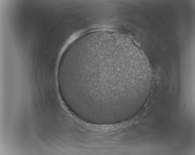 X0000054370006200508191858