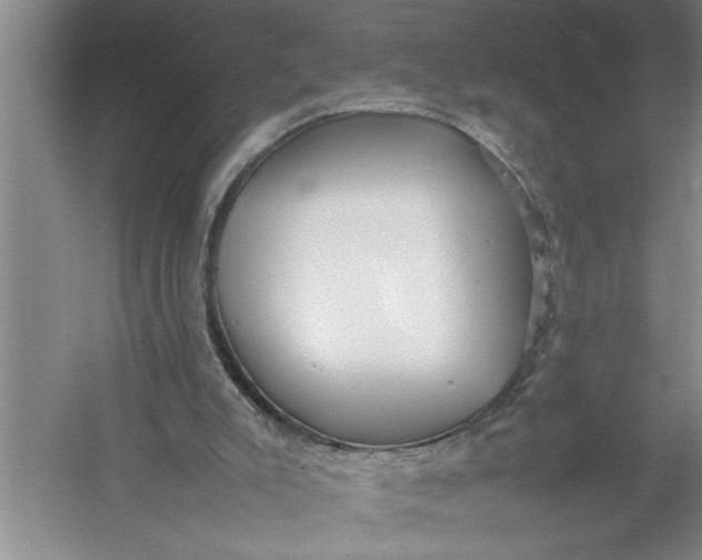 X0000054370007200508191858