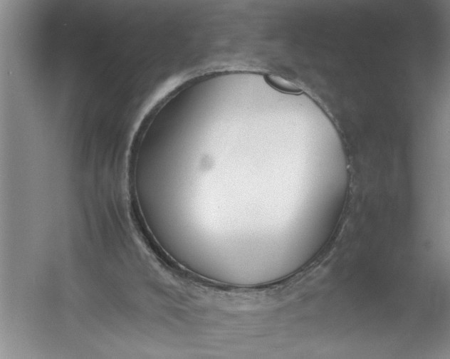 X0000054370008200508191858