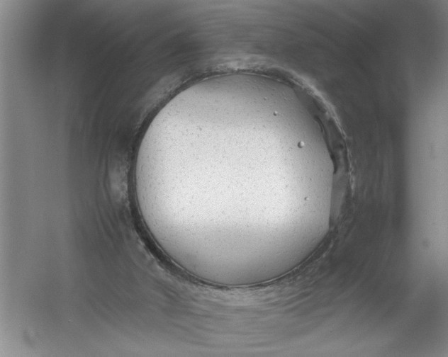 X0000054370010200508191858