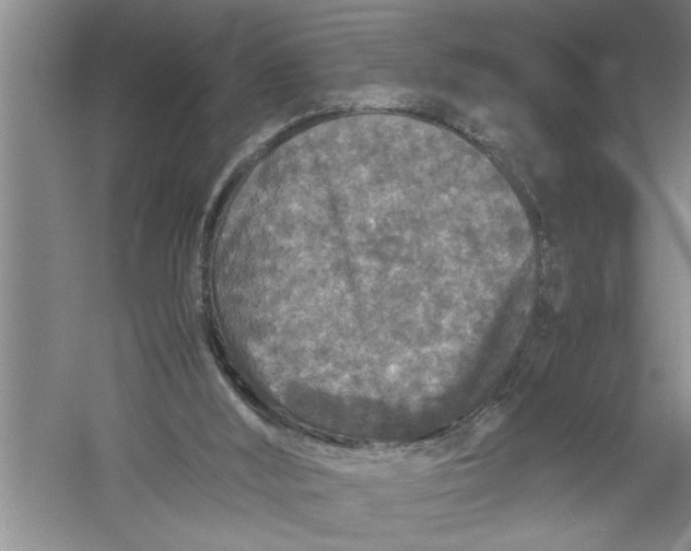 X0000054370012200508191858