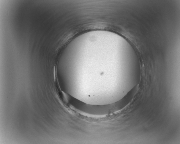 X0000054370013200508191858