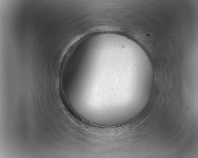 X0000054370015200508191858