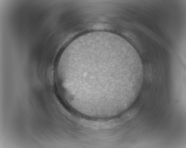 X0000054370016200508191858