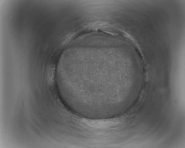 X0000054370018200508191858