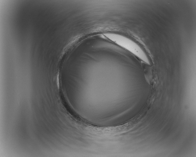 X0000054370019200508191858