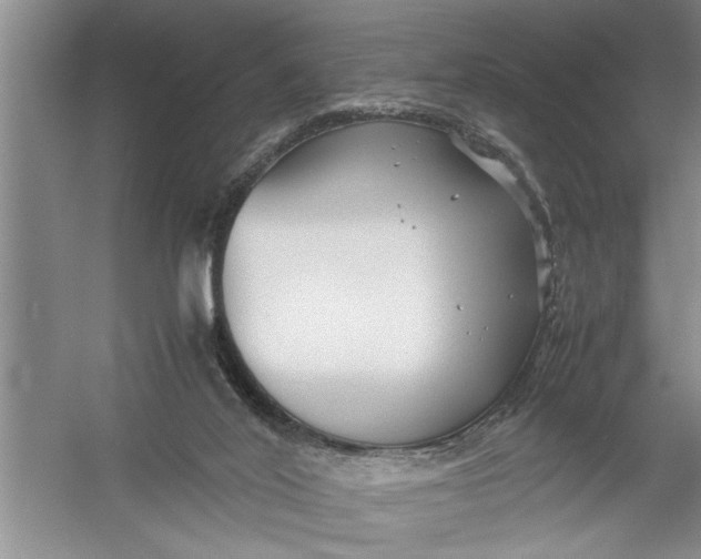 X0000054370020200508191858