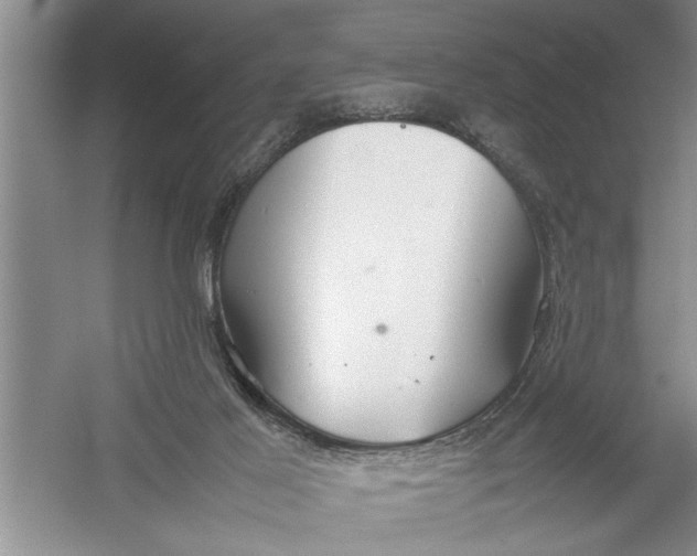 X0000054370021200508191858