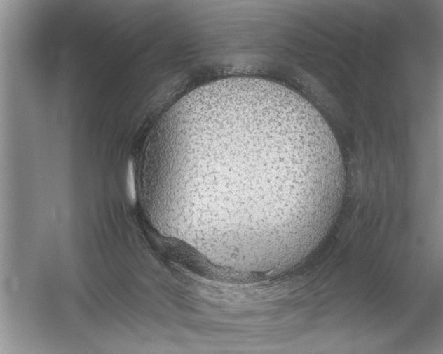 X0000054370022200508191858