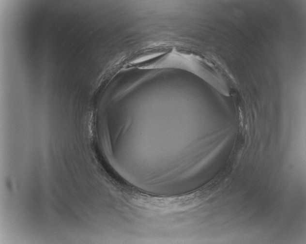 X0000054370023200508191858