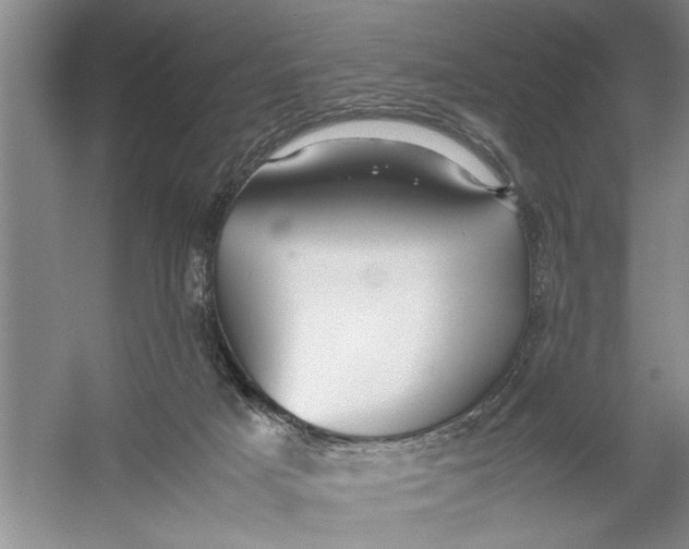 X0000054370025200508191858