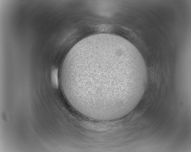 X0000054370028200508191858