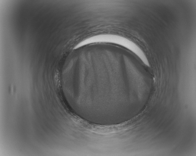 X0000054370029200508191858