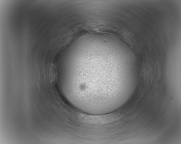 X0000054370030200508191858