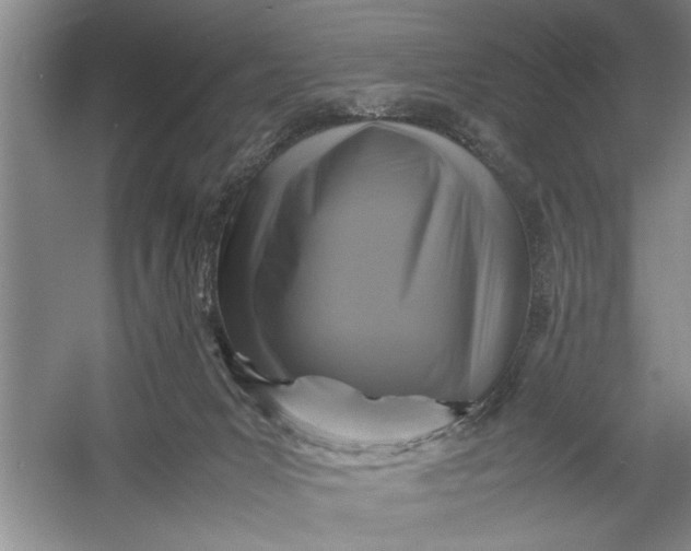 X0000054370031200508191858