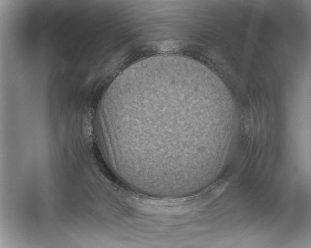 X0000054370032200508191858