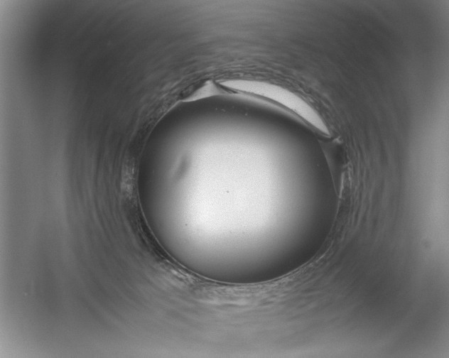 X0000054370033200508191858