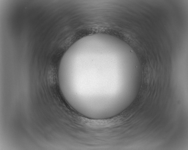 X0000054370034200508191858