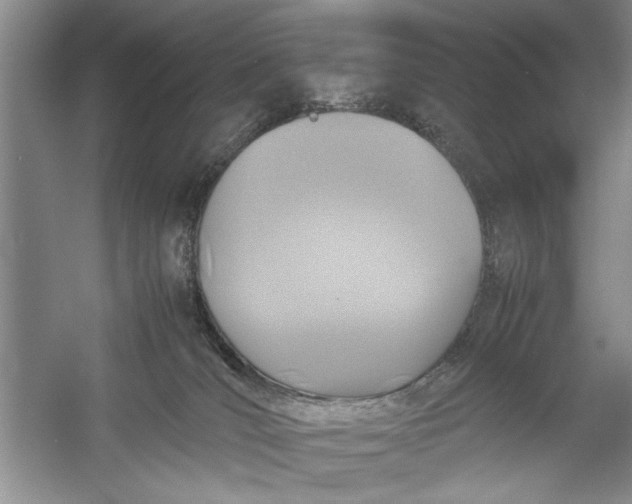 X0000054370036200508191858