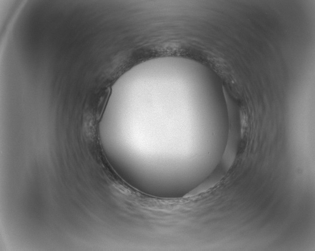 X0000054370037200508191858