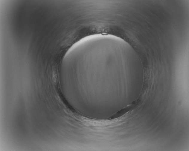 X0000054370039200508191858