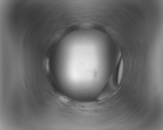 X0000054370041200508191858