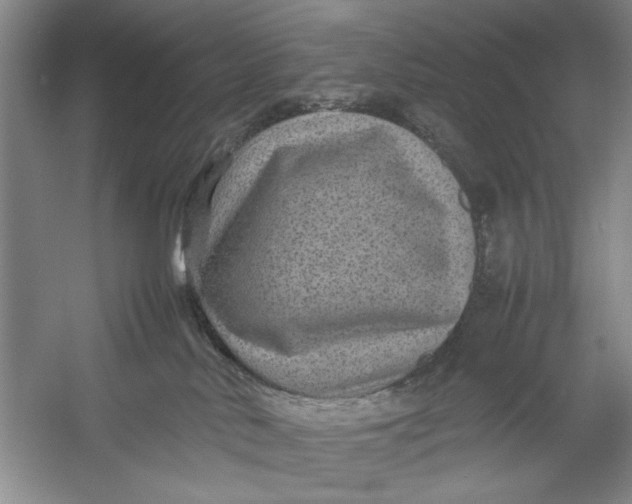 X0000054370042200508191858