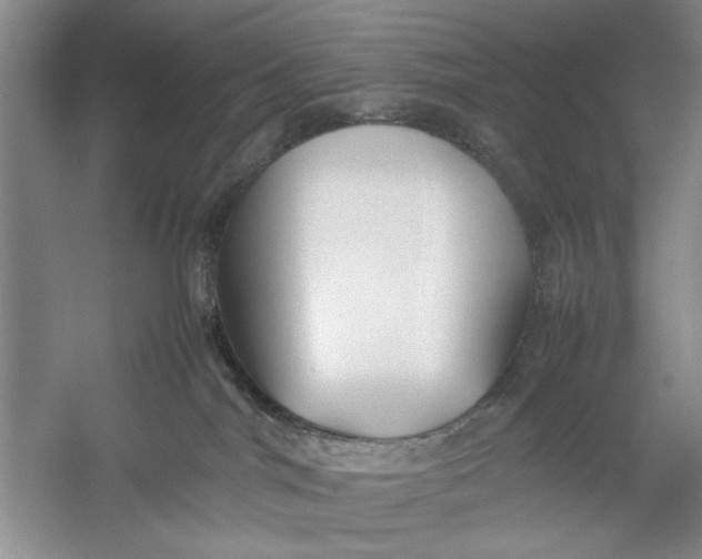 X0000054370044200508191858