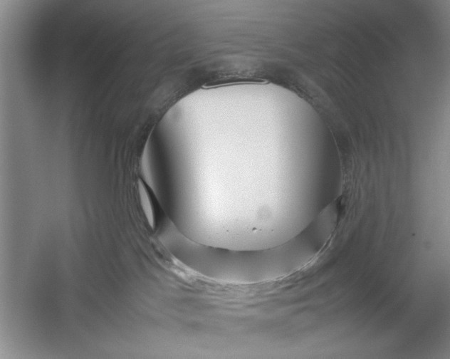 X0000054370045200508191858