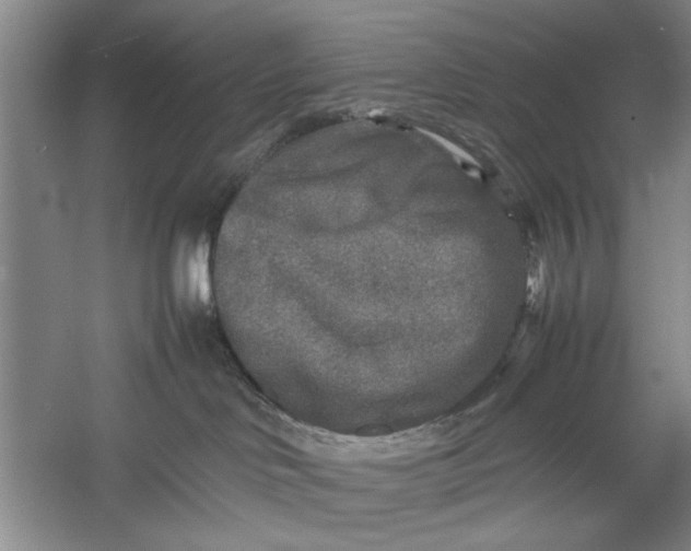 X0000054370046200508191858