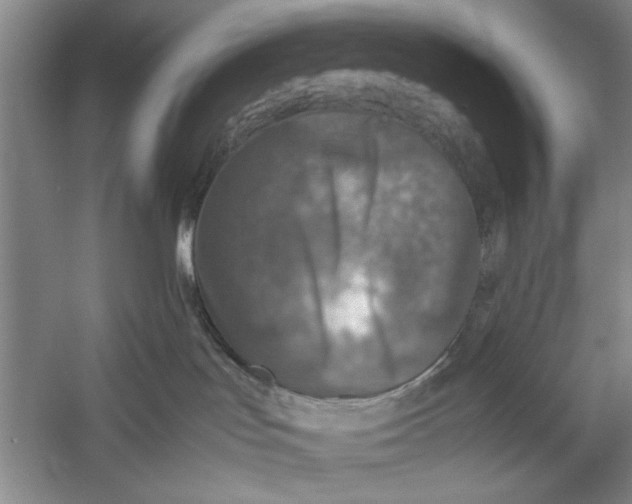 X0000054370047200508191858