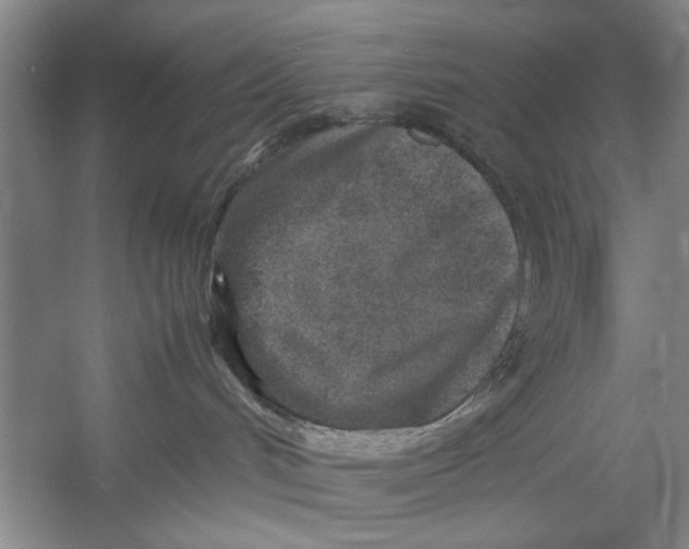 X0000054370048200508191858