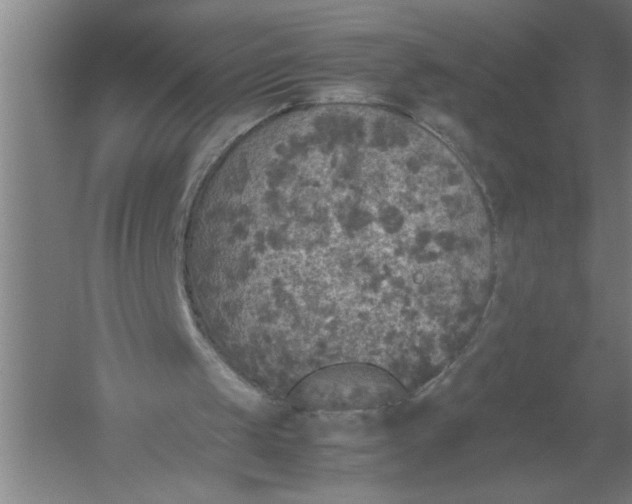 X0000054370049200508191857