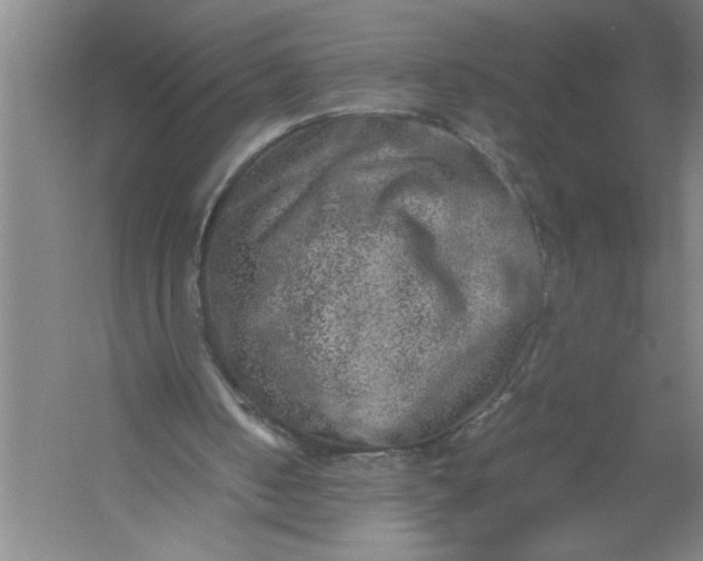 X0000054370050200508191857