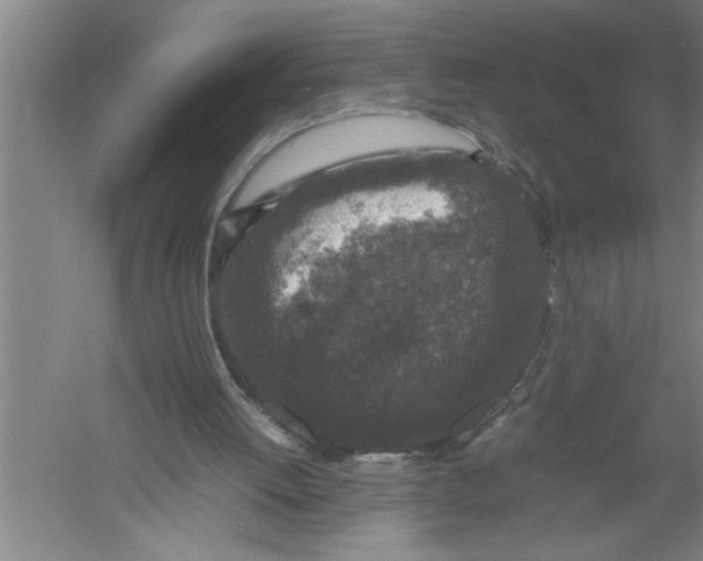 X0000054370052200508191857