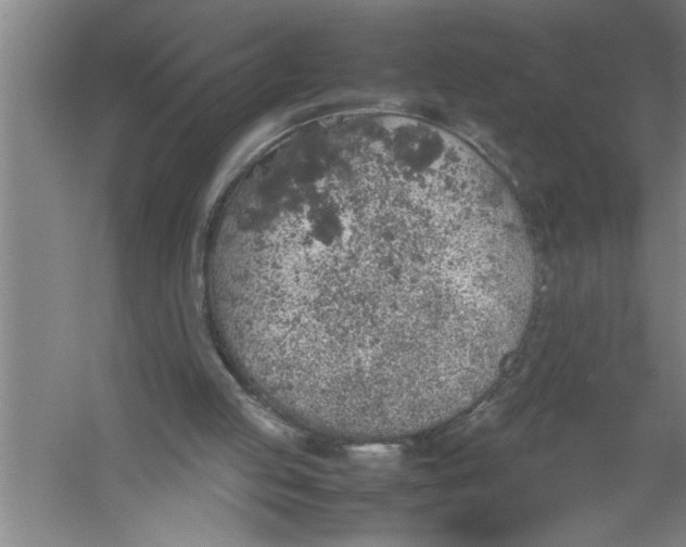 X0000054370053200508191857