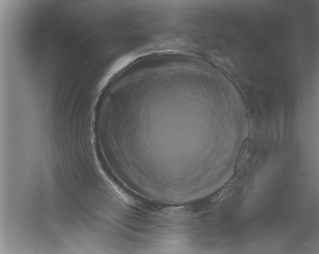 X0000054370054200508191857