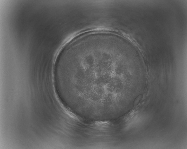 X0000054370055200508191857