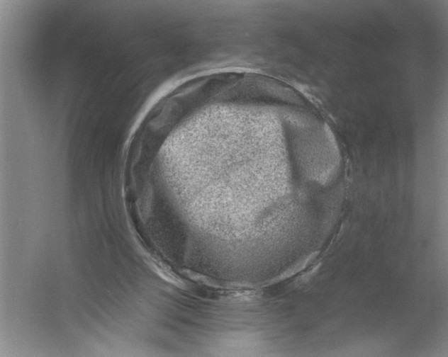 X0000054370056200508191857